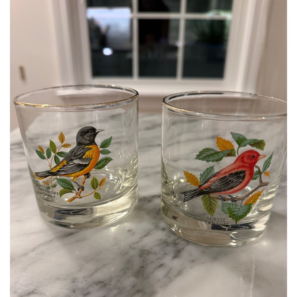 Vtg 70s MCM West Virginia Glass American Songbirds 2 Glasses  Oriole  Tanager